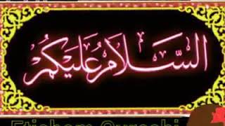 Arslan Qureshi Shakka Bhai 316 . Potha Sharif Murree