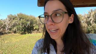 Becoming a Digital Nomad Vlog ep24: La Chua Trail Alligators