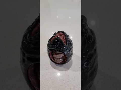 3d printed, Xenomorph egg. From Hex3d
