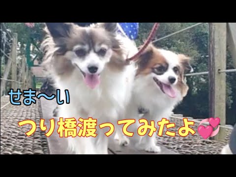 滝のある公園までお散歩行ってみた