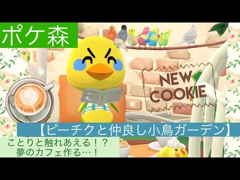 【ポケ森】ピーチクと仲良し小鳥ガーデン7個食べて、ことり触れ合いがカフェ作る…！