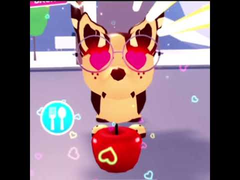 my ccbd needs some love 💕 #adoptmeroblox #chocolatechipbatdragon #fyp #shortsfeed #adoptmeedit