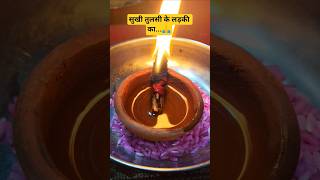 सुखी तुलसी के लकड़ी का चमत्कारी उपाय 🕉️🙏#pradeepmishra #upay #bhaktistatus #viralshort #ytshorts 🙏