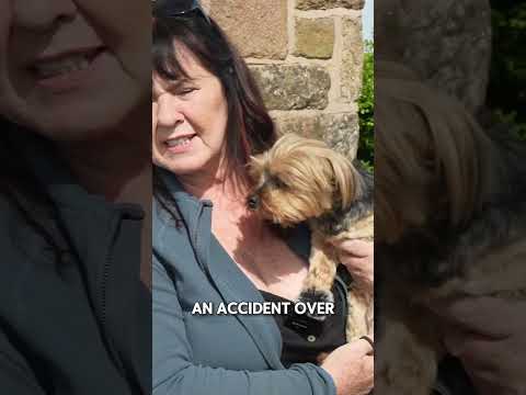 Come meet two of my rescue dogs🐶 #cutedog #cute #dogs #animals #cuteanimals