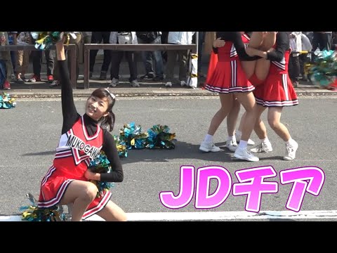 JDチア！
