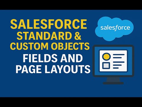 Salesforce Basics Explained   Standard Objects, Custom Objects, and Fields