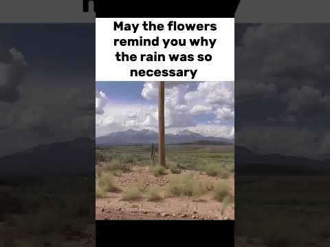 life goes on  #camping #explore #camcorder #videocamera