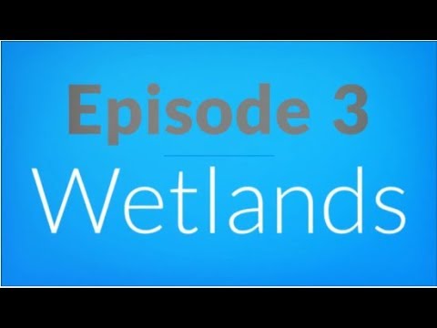 Water Education TV: Wetlands (Episode 3)
