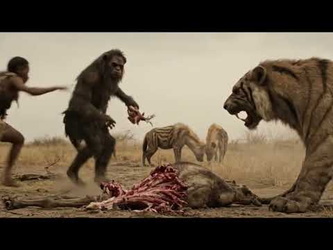 Life Million Years Ago | Surviving Two Different Worlds: A Prehistoric Story