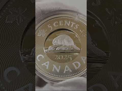 Multilayered Beaver - Royal Canadian Mint #royalcanadianmint #beaver #coincollecting #coins #silver