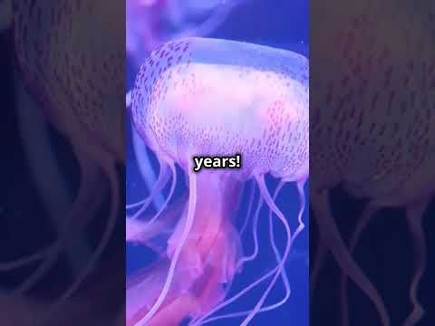 Mind-blowing Animal Facts you didn't know! #facts #shortvideo