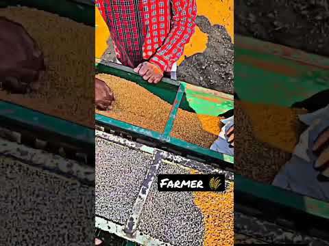 Farmer life 🌾💯 #shorts #shortsvideo #trending #viral