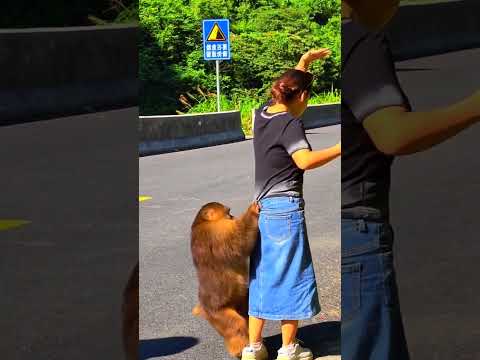 Monkey vs. Lady – Who Wins the Food Battle? 😂🐒 #shorts