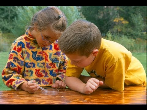 How does water education impact the world's water?
