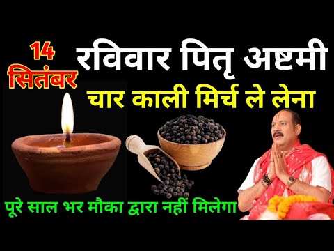 14 दिसंबर रविवार पितृ पक्ष अष्टमी को करें चार काली मिर्च वाला चमत्कारी उपाय | पंडित प्रदीप मिश्रा जी