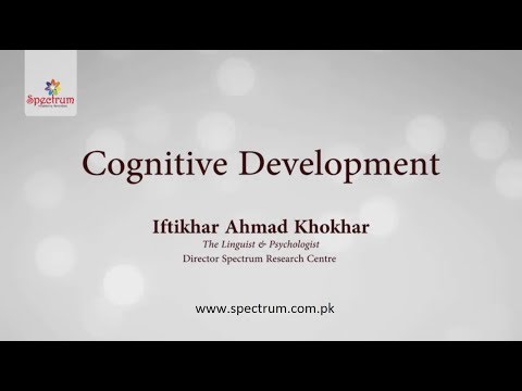 Cognitive Development of Young Children