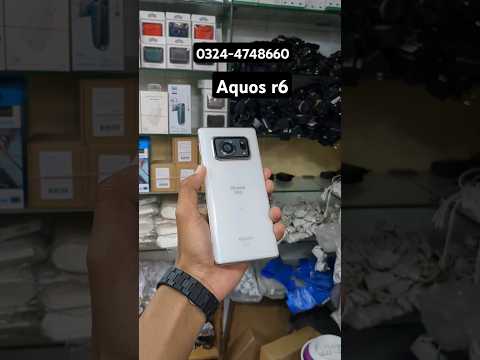 Aquos r6 official PTA approved available #aquosr6