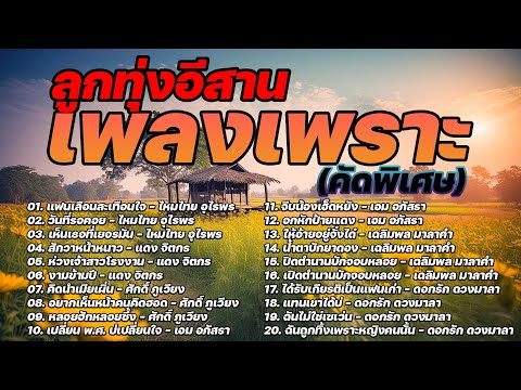 ลูกทุ่งอีสานเพลงเพราะ (คัดพิเศษ)