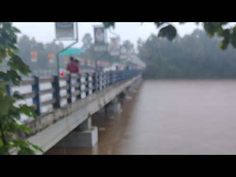 #Malayattoor Kodanad Periyar River on 30/7/2024