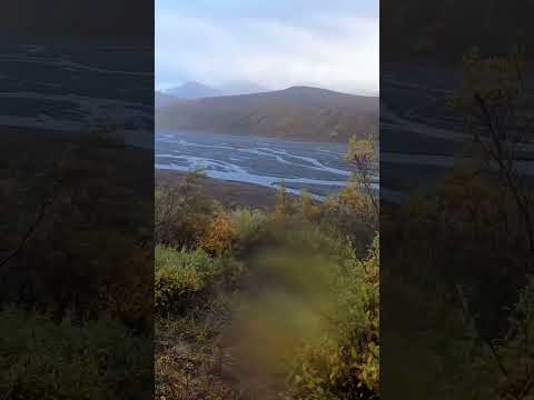 Uncovering the Hidden Beauty of Denali National Park | Off-Trail Backpacking Adventure