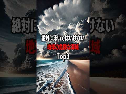 絶対に泳いではいけない地球の危険な海域Top3 #危険な海域 #シャークアレイ #ニュースマーナビーチ #カーペンタリア湾 #ホホジロザメ