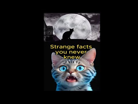 The Cursed Bassano Vase of Italy | Strange facts you never knew P.25  #shorts