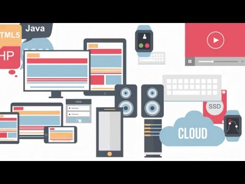 Panda Rose - We are your Dedicated CTO