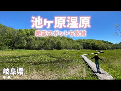 【岐阜県観光】池ヶ原湿原の絶景スポットを散策！晴れ渡る空にキラキラ光る湿原を歩くだけでも楽しい！[Gifu Prefecture Tourism] Ikegahara Wetland