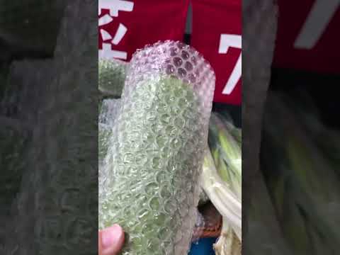 秀泰生活台中文心店 - 心苑農場〉專業級螞蟻老闆，專門搬運甜水果，蔬菜7樣200元，每樣蔬果都是產地新鮮直送