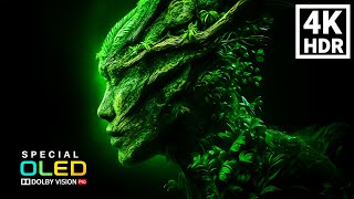 Precision Dolby Vision Calibration | Professional 4K HDR Display Test | HDR GALLERY