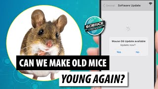 Can The Old Be Young Again? | Cellular Reprogramming