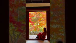 My fav temple in Arashiyama🍁 #arashiyama #kyoto #japanesetemple #momiji #foliage #autumn #japan