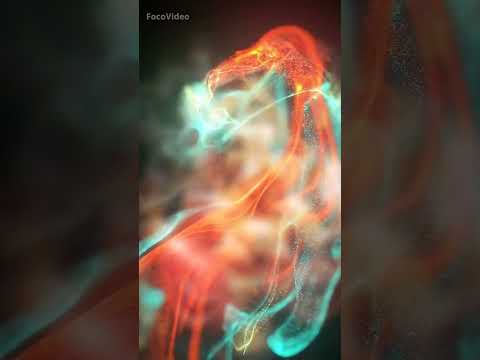 a aai Dev Bappa aale song small status video Ganpati Bappa morya small status video