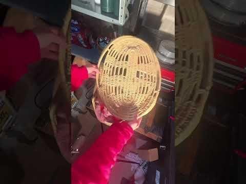 Old Basement Treasure Hunt!