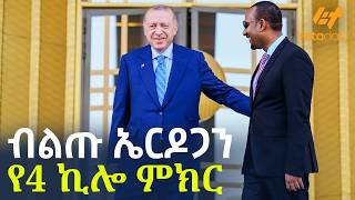 Ethiopia - ብልጡ ኤርዶጋን | የ4 ኪሎ ምክር