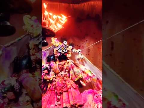 ⚜️श्रीबाँकेबिहारीजी की शयन-आरती के दर्शन [12 मार्च,2025]⚜️🌺 #youtube#radha#laddugopal#bankebihari🌺