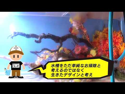 UWSレンタル＆メンテナンス