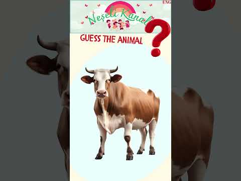 Guess the Animal! Preschool Educational Game #5years #KidsShorts #YouTubeShorts #gameforkids