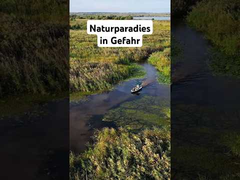 Vogel-Safari im Donaudelta