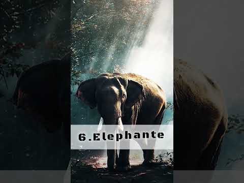 Top 10 Dangerous Animals In The world 🌎 ||#shortvideo