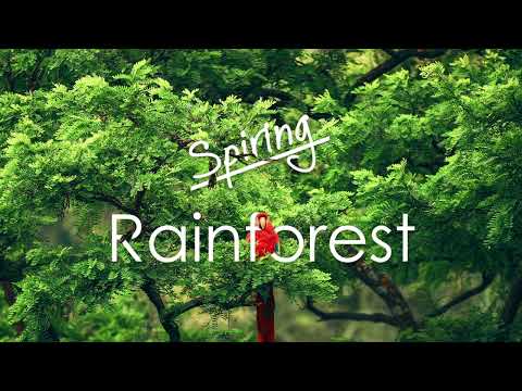Spiring - Rainforest [Tropical House]