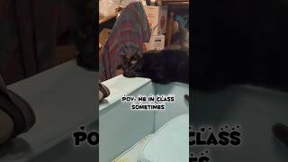 POV:Me in class sometimes🎶✨🐈‍⬛ #schoolthoughts #relatable #sleepycat #blackcat
