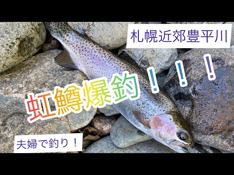 爆釣！虹鱒！自宅から20分の豊平川で早朝渓流餌釣り！