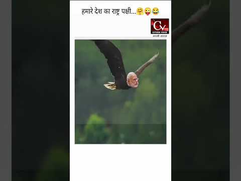 #modifunnyvideos  - आखिर भारत का राष्ट्रीय पक्षी कौन हैं ?वायरल वीडियो .#shortreels