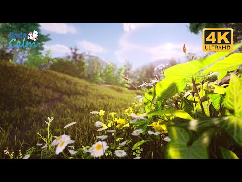 [4K] Nature Sounds for Kids | Forest Planet | Badanamu Calm