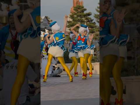 可愛いダック達が全力で遊んでいました！笑#ドナパル #パルパルーザ #ディズニー #ディズニーランド #ディズニーダンサー