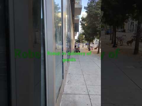 Robot in delivery of goods