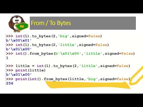 BLT: Python's Most-Used I.O.P