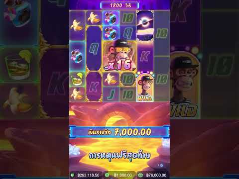 Wild Ape #3258 | สล็อตpg สล็อตลิงสุดไวลด์ ►แตก300,000 รับรางวัลใหญ่!
