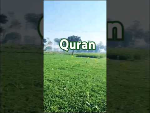 Quran🤲#viralvlog # Allah maf Kara Kary #Quran pak